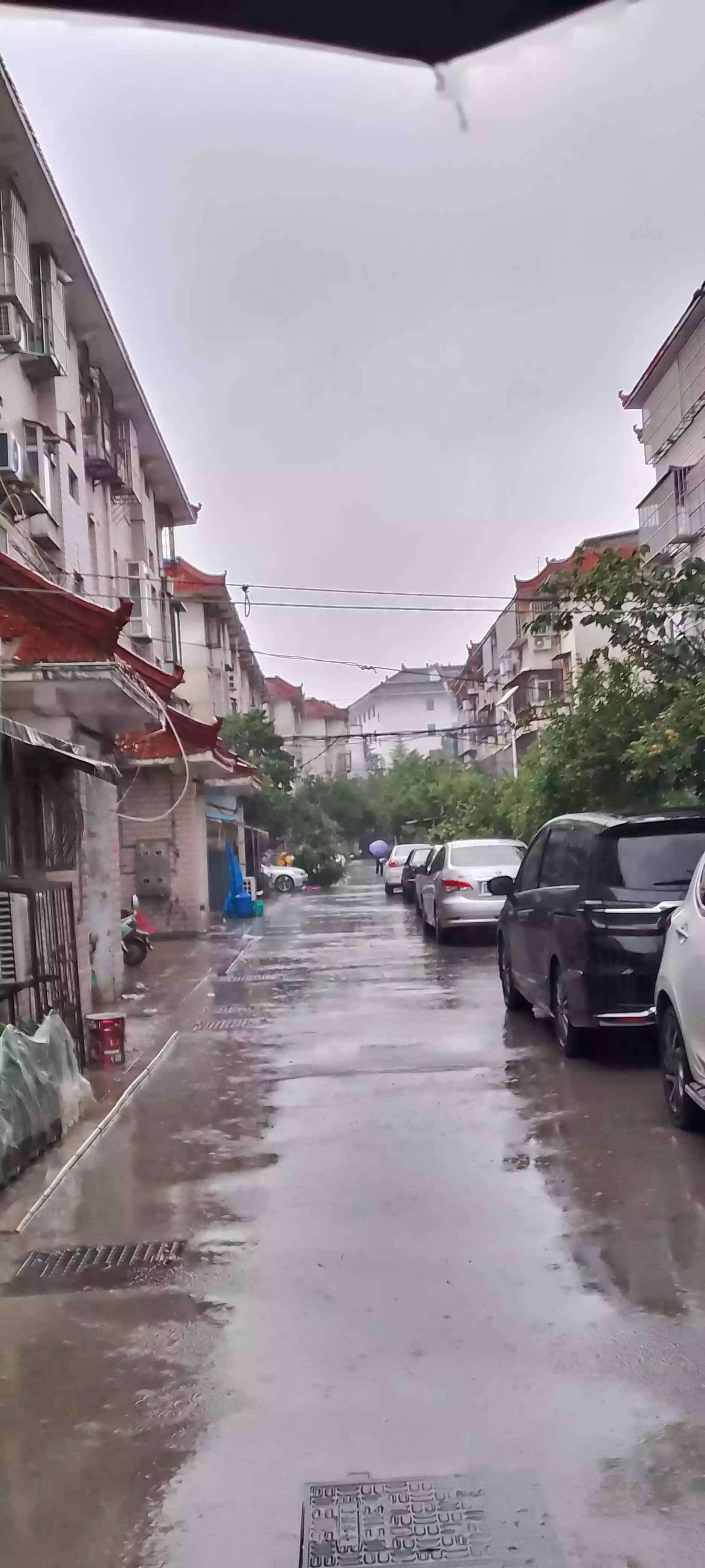 抬头，浮华圣殿；低头，沧桑人间